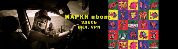 a pvp Аркадак