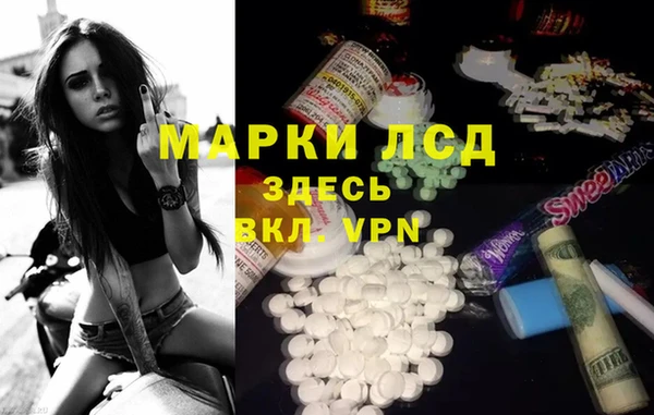 a pvp Аркадак