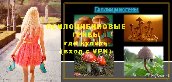 a pvp Аркадак