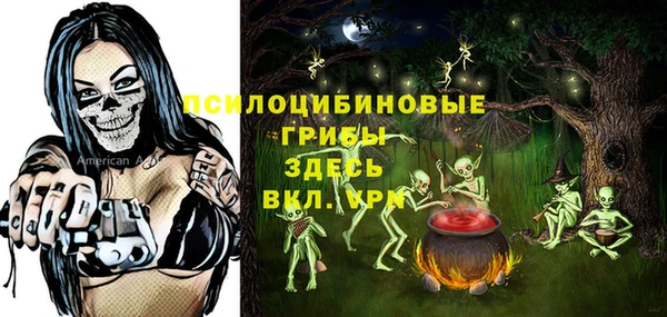 ПСИЛОЦИБИНОВЫЕ ГРИБЫ Армянск