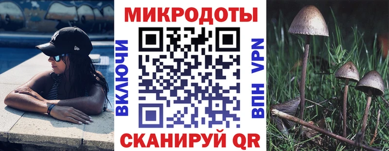 OMG tor  Сольвычегодск  Псилоцибиновые грибы мицелий 