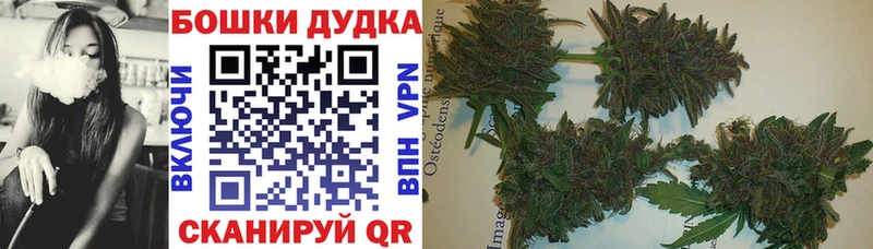 Каннабис LSD WEED  блэк спрут ссылки  Сольвычегодск 